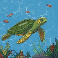 turtle in the sea vector