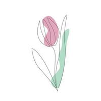 Tulip flower one line art. Minimalist contour drawing. One line artwork vector