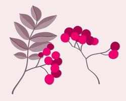 Variety of colorful trendy autumn leaves and berries. Vector illustrations for web, app and print. Elegant shapes floristic isolated rowan leaves. Forest, botanical, minimalistic floral set.