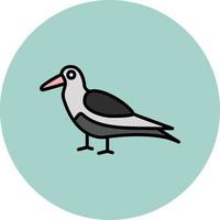 Oystercatcher Vector Icon