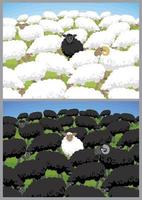 Black Sheep Cartoon vector