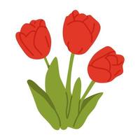 doodle spring flower tulips vector