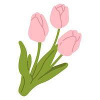 doodle spring flower tulips vector