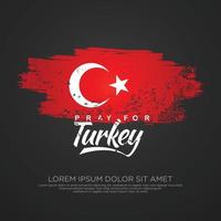 Grunge style turkish flag and map for greeting card vector