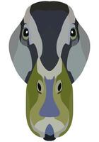 Duck face. An illustration of the muzzle of a platypus bird is depicted. Bright portrait on a white background. Vector graphics. animal logo