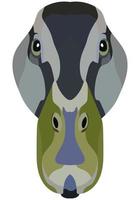 Duck face. An illustration of the muzzle of a platypus bird is depicted. Bright portrait on a white background. Vector graphics. animal logo