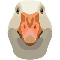Goose face. An illustration of the muzzle of a platypus bird is depicted. Bright portrait on a white background. Vector graphics. feathered logo