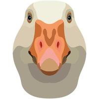 Goose face. An illustration of the muzzle of a platypus bird is depicted. Bright portrait on a white background. Vector graphics. feathered logo