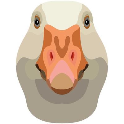 Goose face. An illustration of the muzzle of a platypus bird is depicted. Bright portrait on a white background. Vector graphics. feathered logo