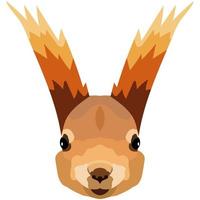 Squirrel face. An illustration of the muzzle of an orange rodent is depicted. Bright portrait on a white background. Vector graphics. animal logo