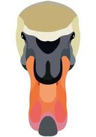 Swan face. An illustration of the muzzle of a platypus bird is depicted. Bright portrait on a white background. Vector graphics. feathered logo