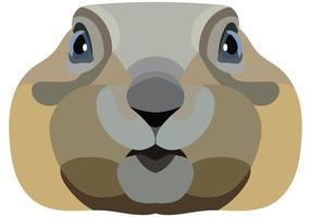 Gopher face. An illustration of a muzzle of a rodent is depicted. Bright portrait on a white background. Vector graphics. animal logo