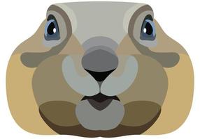 Gopher face. An illustration of a muzzle of a rodent is depicted. Bright portrait on a white background. Vector graphics. animal logo