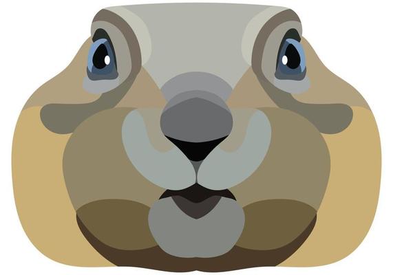 Gopher face. An illustration of a muzzle of a rodent is depicted. Bright portrait on a white background. Vector graphics. animal logo