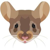 Mouse face. An illustration of the muzzle of a beautiful rat is depicted. Bright portrait on a white background. Vector graphics. animal logo
