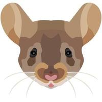 Mouse face. An illustration of the muzzle of a beautiful rat is depicted. Bright portrait on a white background. Vector graphics. animal logo