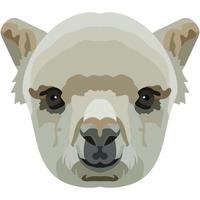 Lama face. An illustration of the muzzle of a llama camel is depicted. Bright portrait on a white background. Vector graphics. animal logo.