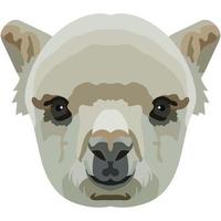 Lama face. An illustration of the muzzle of a llama camel is depicted. Bright portrait on a white background. Vector graphics. animal logo.