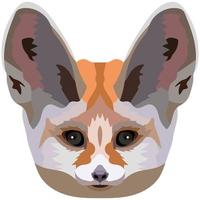 Fennec face. An illustration of the muzzle of a small eared fox is depicted. Bright portrait on a white background. Vector graphics. animal logo.