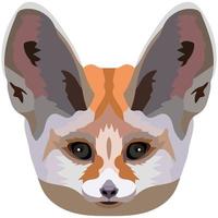 Fennec face. An illustration of the muzzle of a small eared fox is depicted. Bright portrait on a white background. Vector graphics. animal logo.