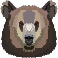 Bear face. An illustration of the muzzle of a large grizzly bear is depicted. Bright portrait on a white background. Vector graphics. animal logo.