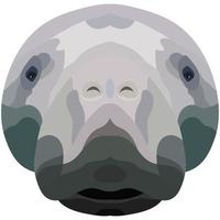 The face of a manatee. An illustration of the muzzle of a manatee is depicted. Bright portrait on a white background. Vector graphics. animal logo.