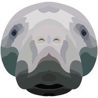 The face of a manatee. An illustration of the muzzle of a manatee is depicted. Bright portrait on a white background. Vector graphics. animal logo.