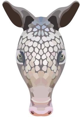 Armadillo face. Shown is an illustration of the snout of Cingulata. Bright portrait on a white background. Vector graphics. animal logo.