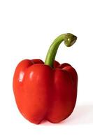 Red sweet bell pepper with water drops isolated on white background. photo