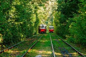 tranvía y rieles de tranvía en un bosque colorido foto