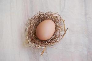 A nest with one egg on wood table background photo