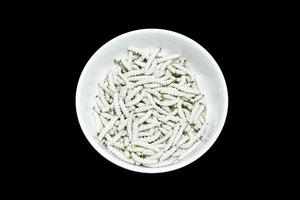 Many white bamboo worms on dish white isolated on dark background,Bamboo Caterpillar is food in thailand photo