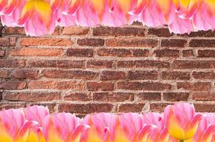 Pink Tulips, frame  Fresh spring tulips flowers with space for text  on old  brick wall  background photo