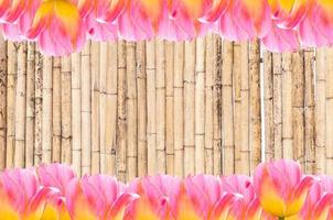 Pink Tulips, frame  Fresh spring tulips flowers with space for text  on bamboo background photo