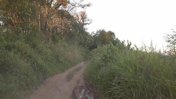 naturlig landskap se medan rör på sig på de sand lokal- väg genom naturlig grön skog på de hög landa berg video