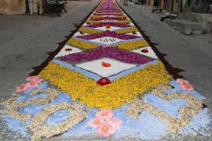 petal and flower carpet for corpus domini christi celebration photo