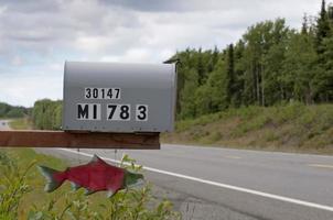 rojo salmón buzón en un la carretera en Kenai península, Alaska foto