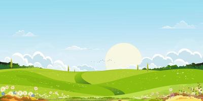 paisaje de campos verdes de primavera con fondo de montaña, cielo azul y nubes, panorama natural rural tranquilo en primavera con tierra de hierba verde. ilustración vectorial de dibujos animados para banner de primavera y verano vector