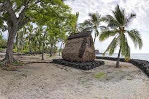 hawaiian hut on the beach photo