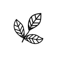 Hand drawn sketch leaf isolated on white background. Simple doodle style. vector