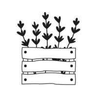 Wooden box with hand drawn lavender flowers. Vector illustration. Simple doodle style.