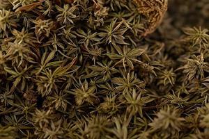 Dried star Anise flower and seed used in cooking and herb medicine. photo