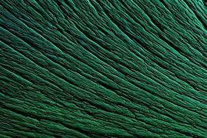 Green wild textured nature pattern background and backdrop. photo