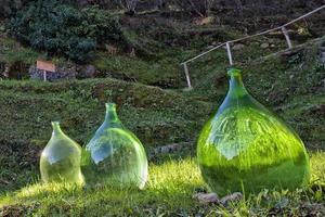 green big bottles on a field photo