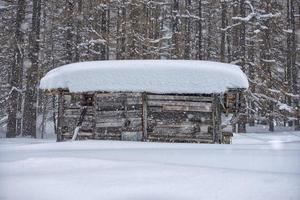 cabaña de montaña bajo la nieve foto