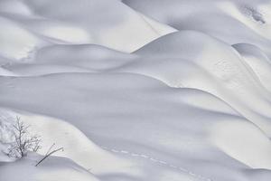 rabbit tracks on snow photo