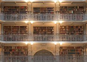 libros estante indiferencia un público biblioteca foto