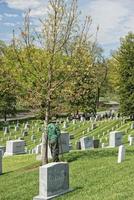 arlington cemetery graveyard worker looking at guys photo