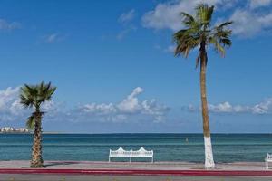 tropical mexicano paraíso playa en baja California foto