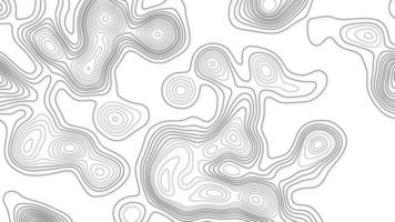 fondo abstracto de relieves curvos de papel de onda blanca, fondo de mapa de contornos topográficos abstractos. relieve montañoso geográfico. fondo de líneas abstractas. mapas de contorno. concepto de negocio. foto